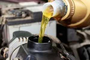 How Often Should You Get a Diesel Oil Change? | Branch Automotive in Littleton, CO. Image of a car maintenance technician pouring fresh engine oil into a car engine.